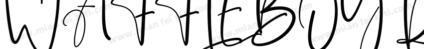 WAFFLEBOY Regular字体转换